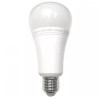 Biała żarówka LED z gwintem E27 o kształcie tradycyjnej żarówki, oznaczenie RGB+CCT