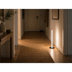 czarna lampka stojąca LED 50 cm z podstawą i kablem USB, trzy różne barwy światła