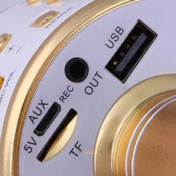 Bezprzewodowy mikrofon karaoke Bluetooth 5.0 w kolorze złotym, różowym i czarnym