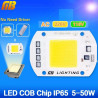 Moduł diody LED COB o mocy 50W z żółtym chipem i białą płytką, oznaczenia 230V na niebieskim tle