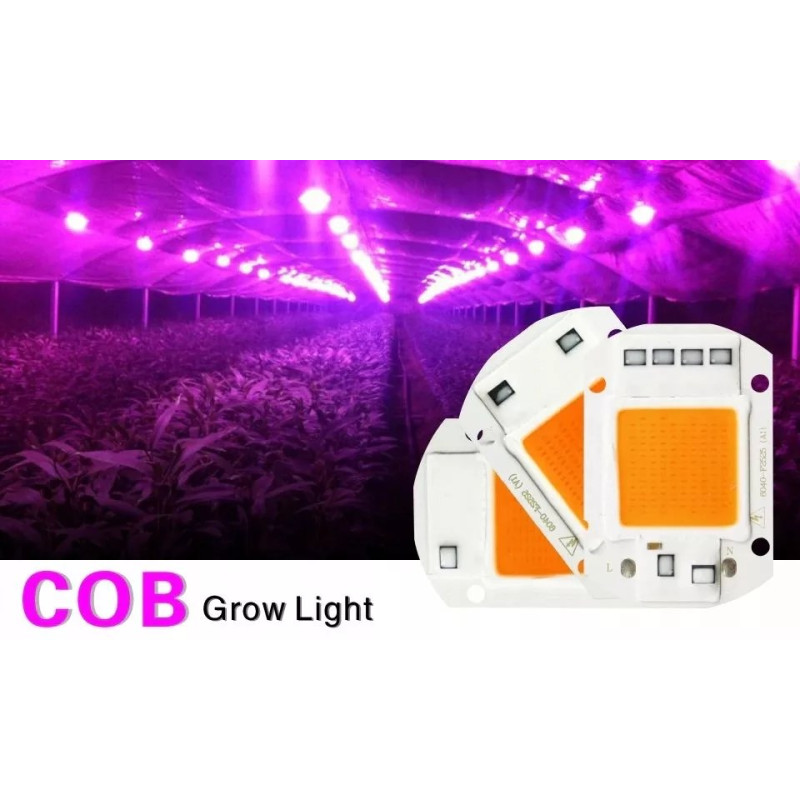 Moduł LED COB 20W grow z zasilaniem 230V i pastą termoprzewodzącą