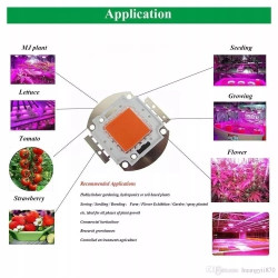 czarna lampa LED 100W do upraw z dwoma diodami LED w obudowie