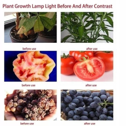 czarna lampa LED 100W do upraw z dwoma diodami LED w obudowie