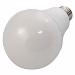Żarówka LED 24W E27 o neutralnej barwie światła na białym tle obok opakowania