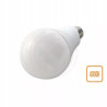 Żarówka LED 24W E27 o neutralnej barwie światła na białym tle obok opakowania