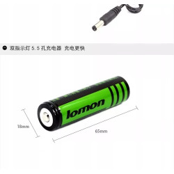 Akumulatorowy halogen LED 10W z 20 diodami SMD w obudowie z uchwytem i dwiema ładowarkami
