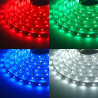 Rolowana taśma LED RGB plus ciepła biel 5 metrów z diodami SMD 5050