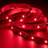 Rolowana taśma LED RGB plus ciepła biel 5 metrów z diodami SMD 5050