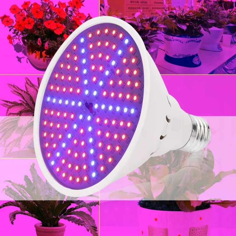 Żarówka LED do roślin z białą obudową i czerwono-niebieskimi diodami LED