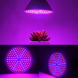 Żarówka LED do roślin z białą obudową i czerwono-niebieskimi diodami LED