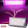 Halogen LED 50 W do upraw roślin emitujący różowe światło