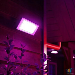 Halogen LED 50 W do upraw roślin emitujący różowe światło