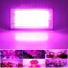Halogen LED 50 W do upraw roślin emitujący różowe światło