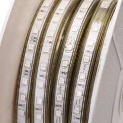 Taśma LED RGB 50m 7W/m 230V szer. 10 mm, wodoodporna, IP65