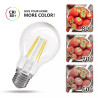 Żarówka LED filamentowa E27 8W 6500K 1000lm szklana przezroczysta