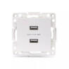 Gniazdo podtynkowe podwójne USB 5 V 2,1 A białe PC 74x74x38 mm