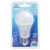 Żarówka LED E27 13W 6500K zimna barwa 1300lm 1 sztuka