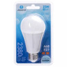 Żarówka LED A60 23W E27 zimna barwa 6500K 1 sztuka