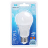 Żarówka LED A60 E27 16W o zimnej barwie 6500K, 1 sztuka