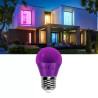 Żarówka LED G45 fioletowa 4W E27 180° do wnętrz