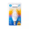 Żarówka LED świeczka C37 E14 6W 3000K 510lm biała plastikowa