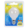 Żarówki LED G45 E14 13W 4000K 2 sztuki o neutralnej barwie światła