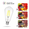 Żarówka LED Filament ST64 E27 8W 6500K 1050lm zimna przezroczysta