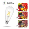 Żarówka LED Filament E27 6W 2700K 730lm przezroczyste szkło ST64