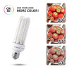 Żarówka LED 15W E27 3000K 1510lm w kształcie U z przezroczystego szkła