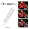 Świetlówka LED PLC 2U 11W 6500K zimne światło trzonek G24d-3