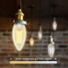 Żarówka LED E14 4.5W CCT 2700K-6500K przezroczysta z Wi-Fi