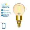 Żarówka LED smart G45 E14 4,5W 2700-6500K bursztynowa Wi-Fi