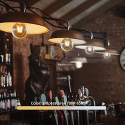 Żarówka LED E27 4,5W 2700-6500K bursztynowa sterowana Wi-Fi