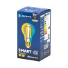 Żarówka LED Bluetooth Mesh A60 6W E27 regulowana barwa 2700-6500K