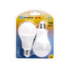 Żarówki LED A60 E27 21W 3000K 2 sztuki ciepłe światło