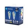 LED żarówka ST64 6W E27 CCT Bluetooth mesh 2 sztuki przezroczysta