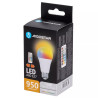 Żarówka LED E27 10W RGB + 3000K 950 lm z pilotem IR do wnętrz