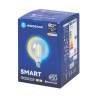 Żarówka LED G125 bluetooth 6W E27 2700-6500K regulacja barwy