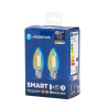 Żarówki LED filament Bluetooth Mesh C35 4,5W E27 2700-6500K zestaw 2 szt.