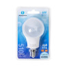 Żarówka LED A60 E14 6W zimna 6500K 510lm do wnętrz
