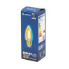 Żarówka LED Bluetooth Mesh C35 4,5W E27 regulacja barwy 2700-6500K