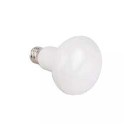 Żarówka LED R80 E27 12W zimna barwa 1170 lm 145° kąt świecenia