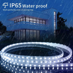 Taśma LED 50m 10mm 8W/m ciepłe 3000K IP65 230V