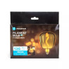 Żarówka LED Filament E27 4W 1800K R140 popielata szklana