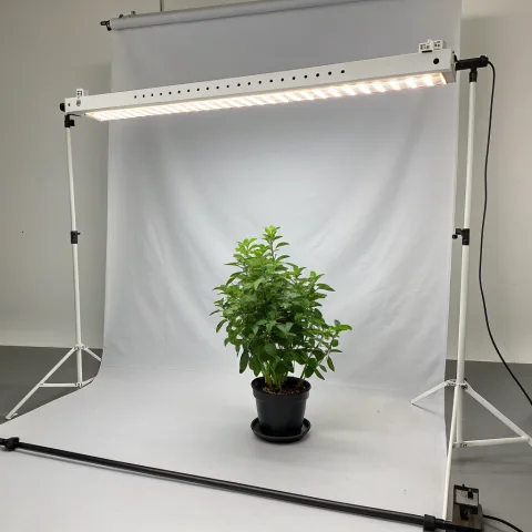 Oświetlenie grow